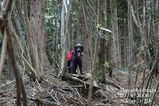 登山道6