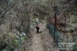 登山道4