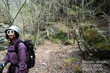 川登山道3