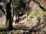 登山道4