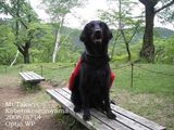 山道優祐