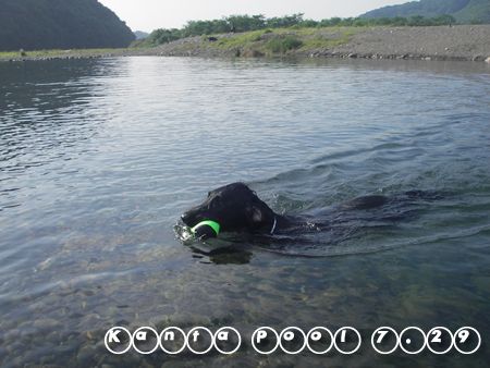 飛び込み5