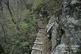登山道8