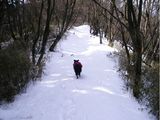 雪登山道