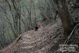 登山道7