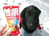 優祐&甘栗