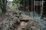 登山道3
