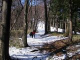 登山道6