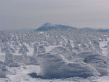 樹氷&岩手山