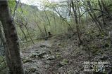 登山道1