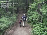 登山道1