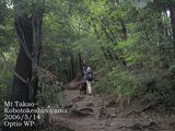 登山道2