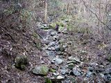 登山道2