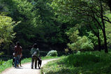 sinryoku