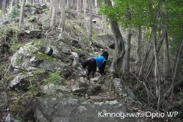 山道2