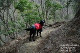 登山道優祐2