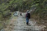 登山道2