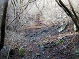 登山道3