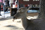IMG_2275