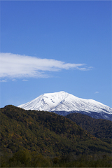 asa06