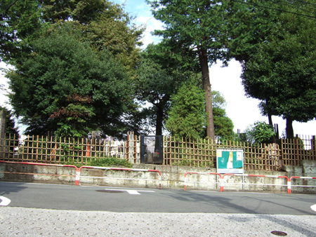 �ͥ�����(NO.176)4