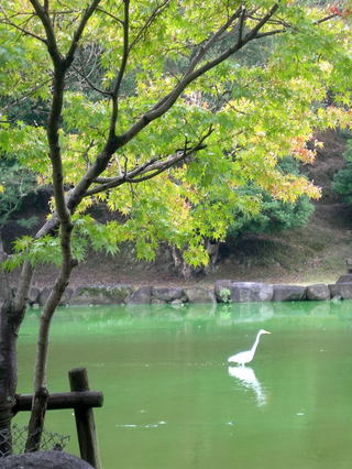 DSCN81740001