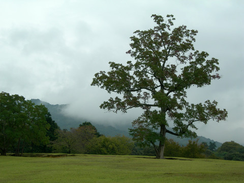 DSCN8251