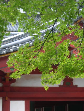 DSCN83260001