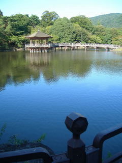 DSCN79800001