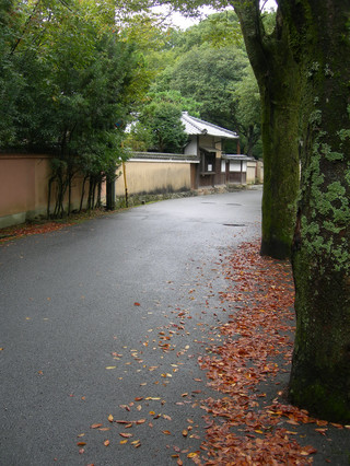DSCN8163