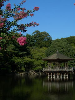 DSCN79890001