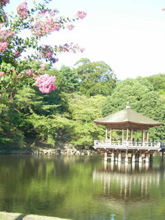 DSCN79880001