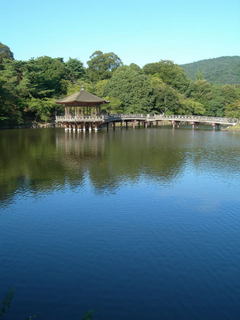 DSCN79810001