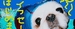 ��ߡ�