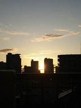413994cd.jpg