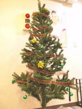 61f1950a.jpg