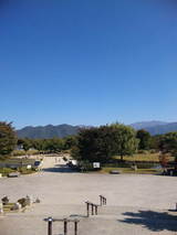 d1f61151.jpg