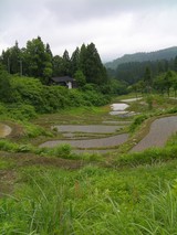 SANY0010