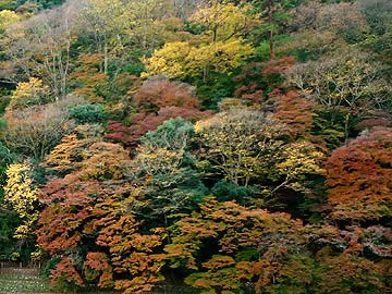 嵐山2