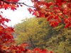 4b98a862.jpg