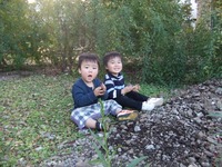 DSCF7882