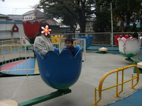BlogPaint