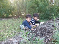 DSCF7883