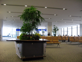 中国・成田発浦東空港行きの全日空NH959便