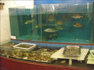 �����������������������������ʤɤ����祰���