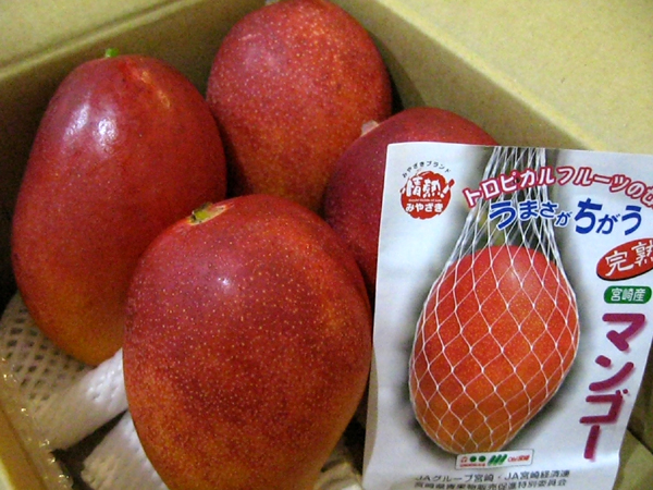 宮崎県産完熟マンゴー「太陽のタマゴ」を食す!