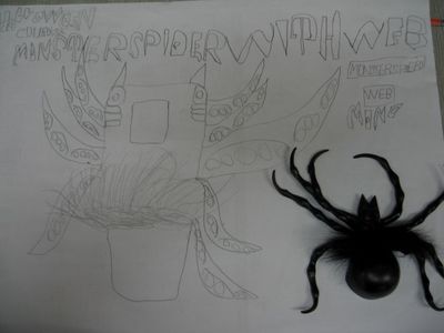 Spider