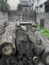 11f12814.jpg