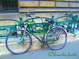 monvelo(C)kimiko.botti