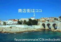 fausse1(C)kimiko.botti
